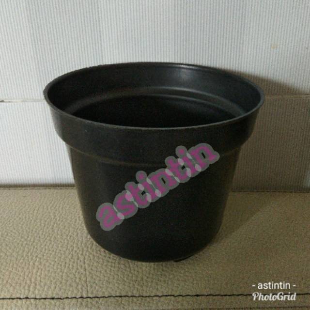  Pot  Plastik  Polos 12 cm Shopee  Indonesia