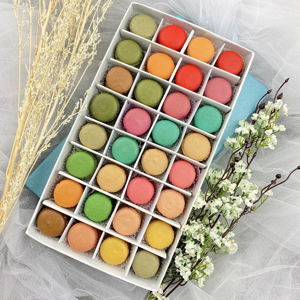 

MACARON MEDIUM 32 Pcs