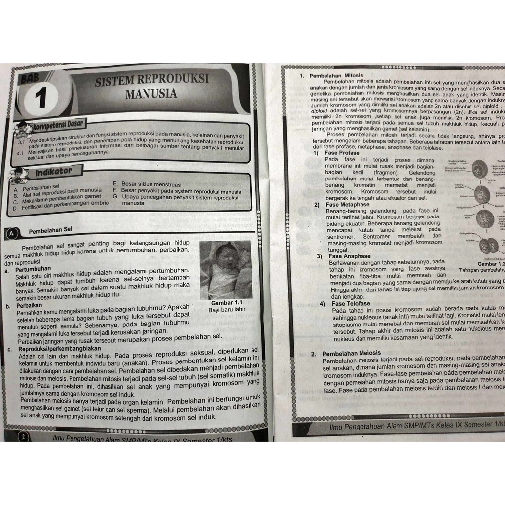 Lks Ipa Smp Kelas Ix 9 Semester 1 2021 2022 Mm Shopee Indonesia