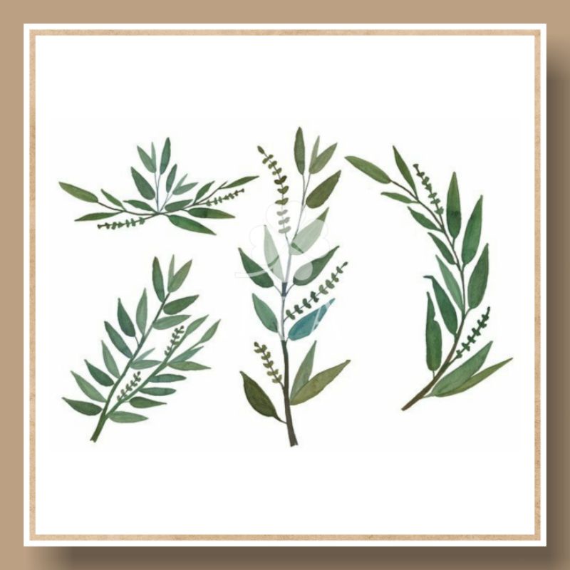 

jiastore__ Sticker Tumbuhan / Watercolor / Sticker Aesthetic / Tumbl / Stiker Glossy