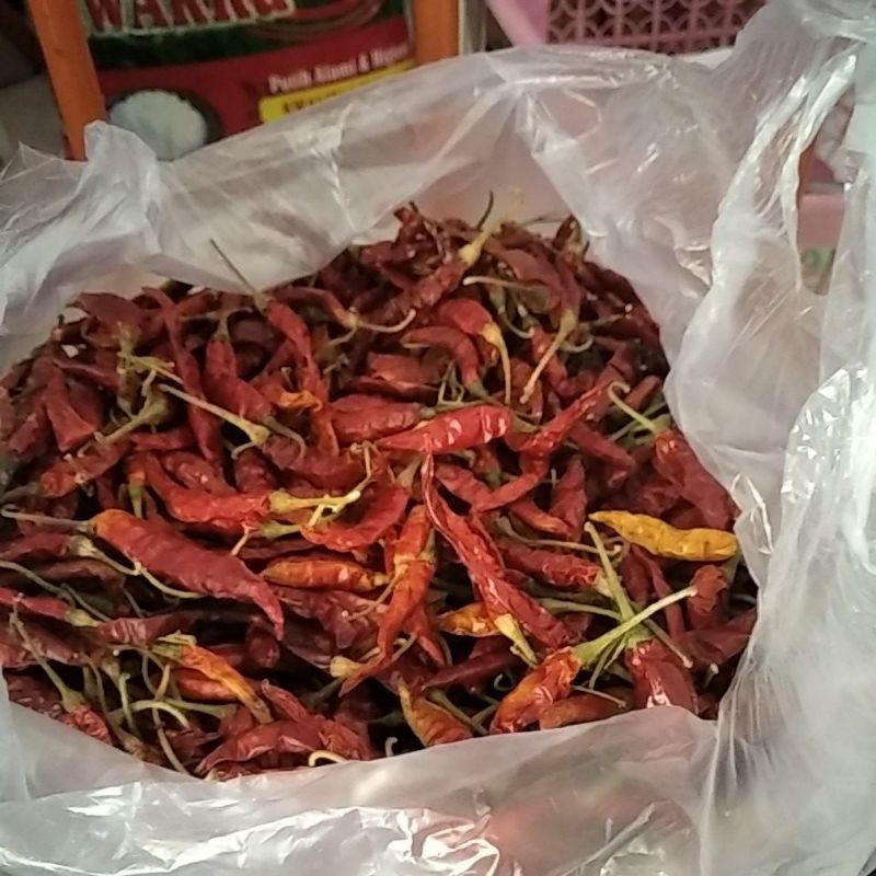

cabe Teja/kering india 1kg tangkai