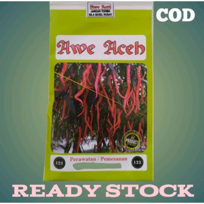 BIBIT BENIH CABE AWE ACEH - ORIGINAL ALAMI ISI 2500 BIJI