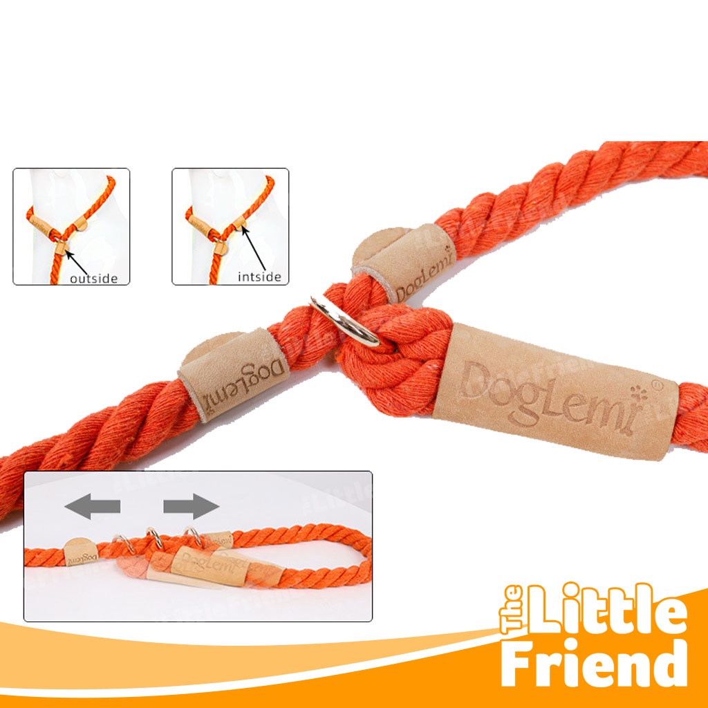 Tali Tuntun Slip On Leash Training Anjing Multicolor dengan Tebal 10mm