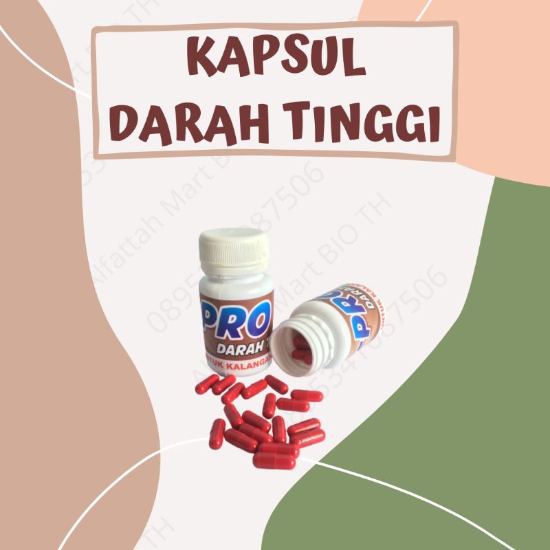KAPSUL DARAH TINGGI PROBIOTIK BIO TH
