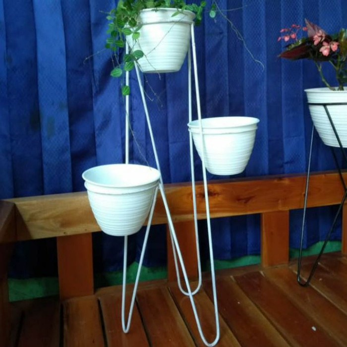 ram besi 3 lobang - TANAMAN HIAS HIDUP