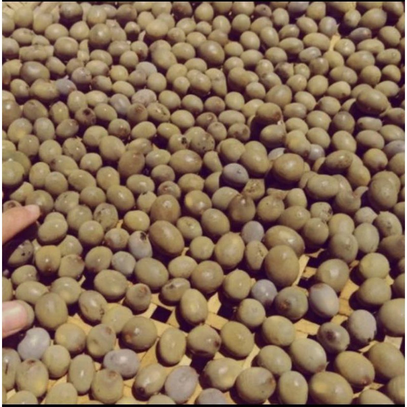 Buah Kebiul 500gr