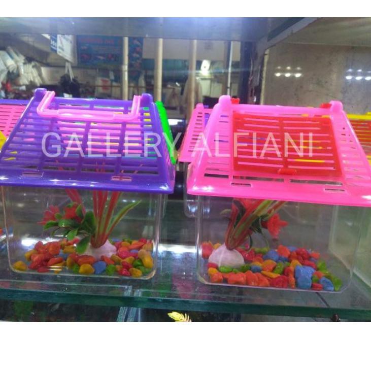 『price』 Aquarium Plastik Lengkap / Aquarium Cupang / Aquarium Murah / Aquarium Mini / Aquarium Ikan