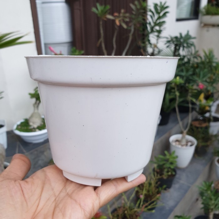 (LUSINAN) Pot BASIC POLOS 15 (12pcs) Pot Semai Pot Polos Pot Murah