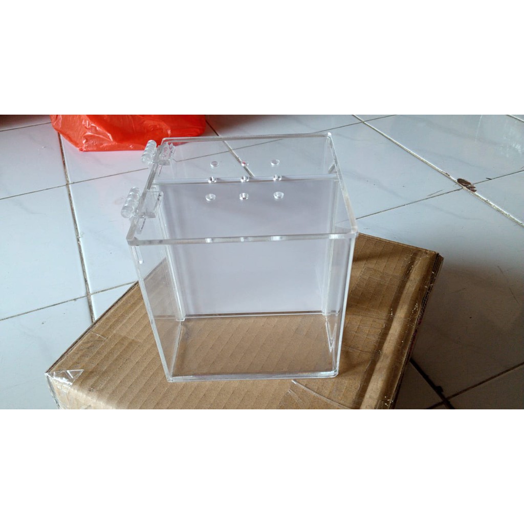 AQUARIUM CUPANG AKRILIK/SOLITER ACRYLIC UK 12X12X12 CM 2 RUANGAN PAKAI TUTUPAN ENGSEL