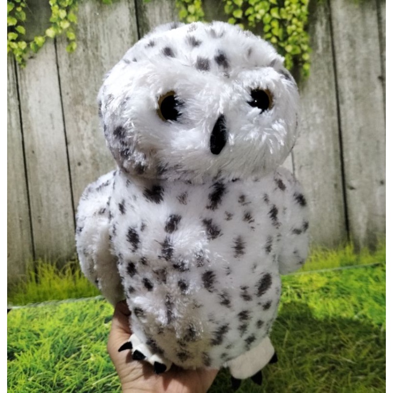 Boneka Snowy Owl /Burung Hantu
