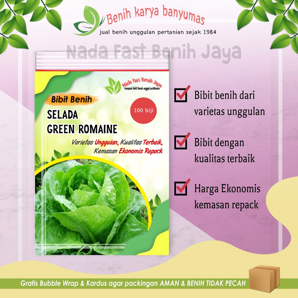 Jual Benih Selada Green Romaine 100 Biji Benih Sayuran Dan Bibit