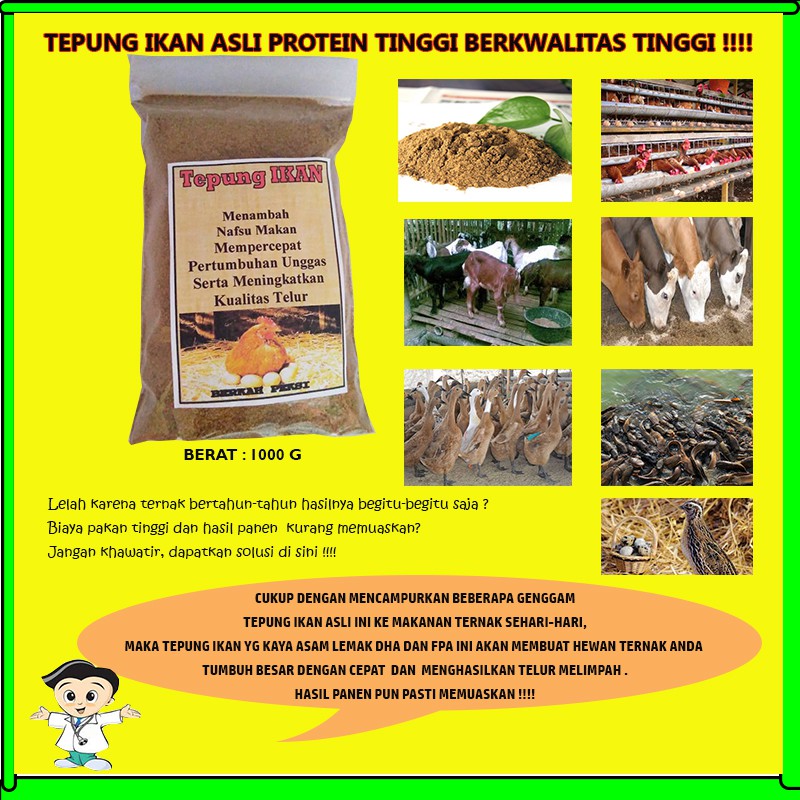 Tepung Ikan Asli Murni Nutrisi Pakan Ternak Protein Tinggi Menggemukkan