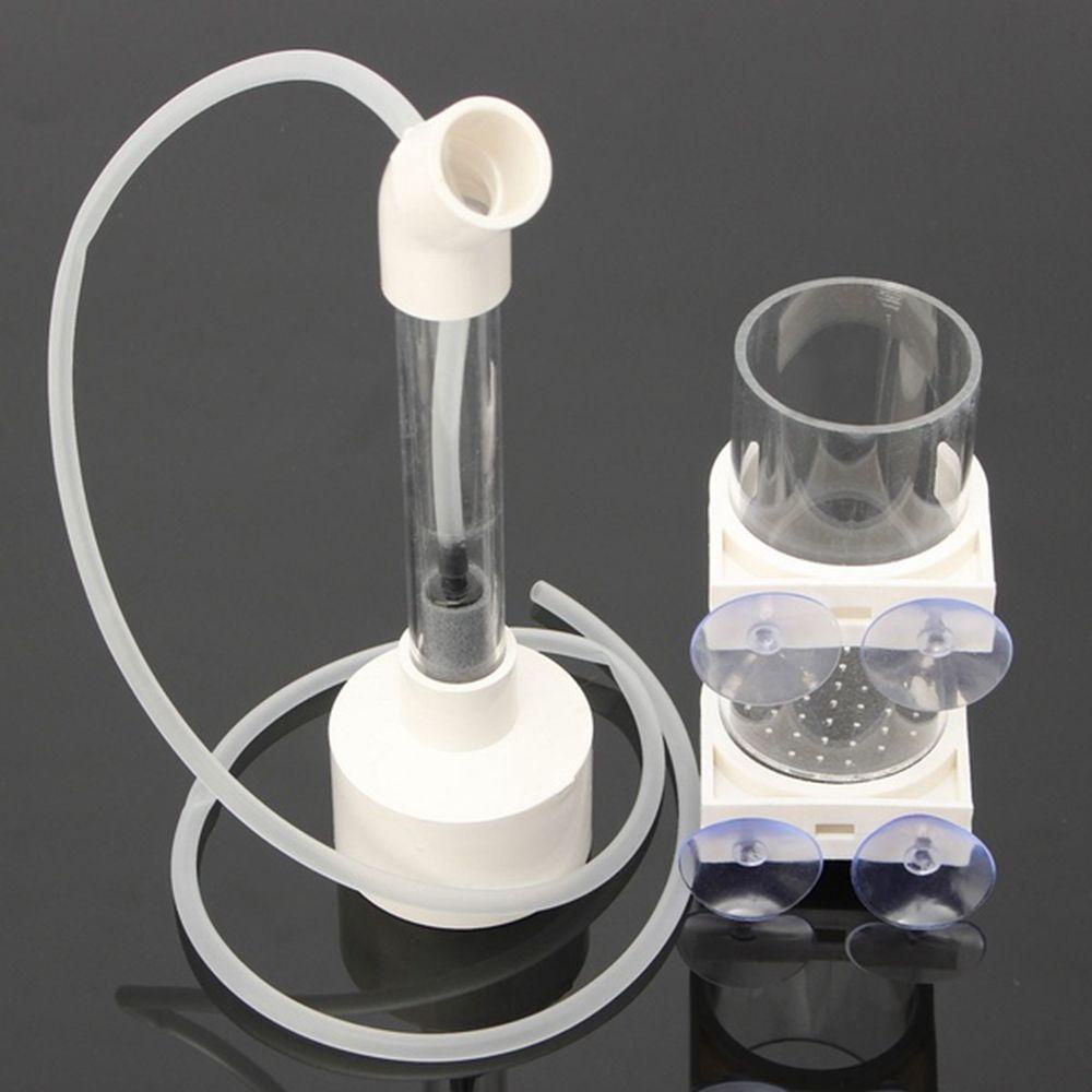 NICKOLAS1 Marocco galihggs galihatchery suketurable galihir alfinevice galihouth galihreeder galihish galihanks galihquarium mustofaccessories