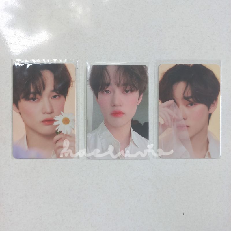pc photocard chenle candylab v4 set [booked]