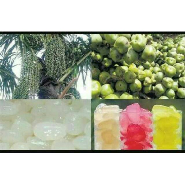 

HARGA GROSIR 500gr kolangkaling Alami 100% kolang kaling muda super tanpa pengawet langsung dari