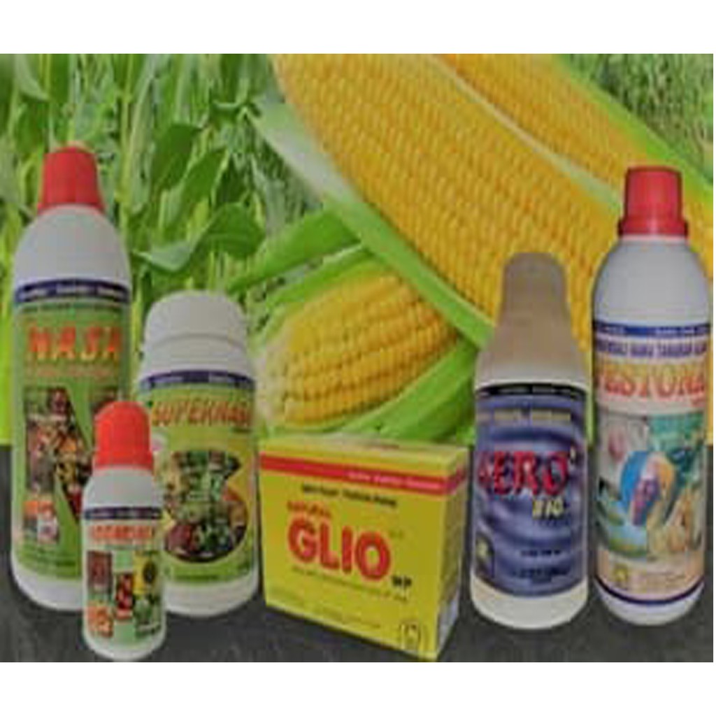 Paket Pupuk Budidaya Jagung Organik Nasa /Stockist PT Nasa Original