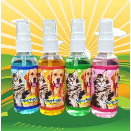 TERMURAH Parfum Kucing Anjing Kelinci ANTI SCABIES KUTU JAMUR 60 ml