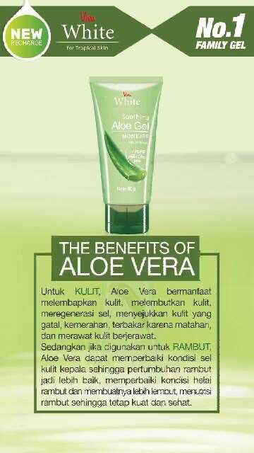 `ღ´ PHINKL `ღ´ 【v】【i】【v】【a】 Viva aloe vera gel anti inflamasi dari ekstrak lidah buaya bahan alami