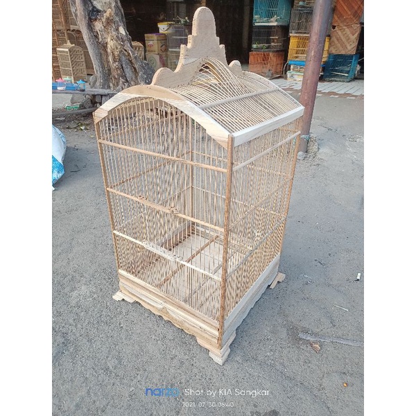 kandang kosan mentah jati