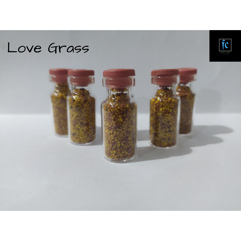 Bibit aquascape LOVE GRASS seed bibit benih tanaman rumput air aquascape aquarium tanaman aquarium r