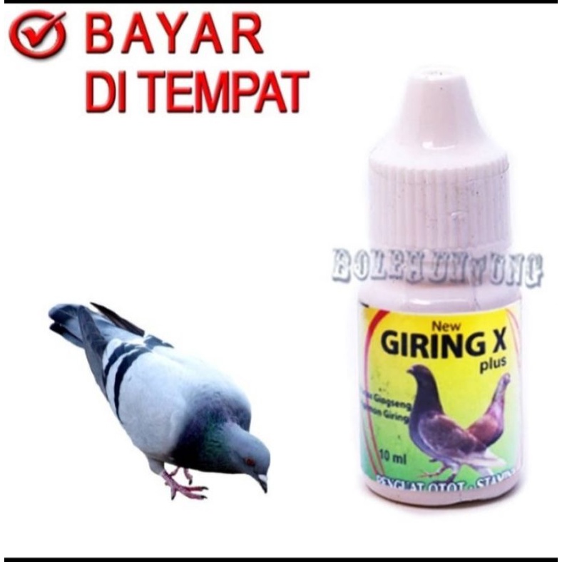 GIRING X Obat Burung Dara Cepat Giring Vitamin Burung Merpati