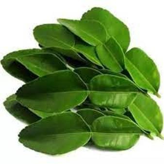 

Daun Jeruk ORGANIK 100gr