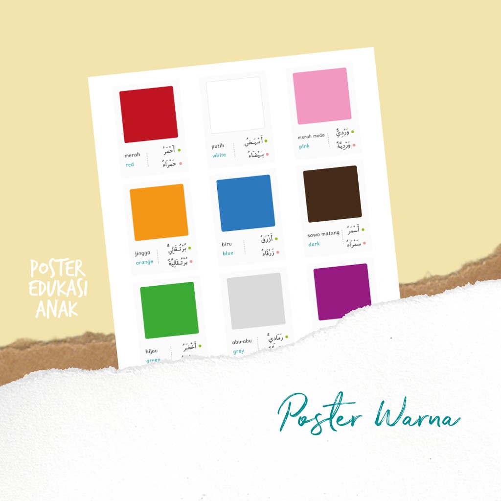 Poster Warna Media Edukasi untuk Anak Bayi Balita PAUD TK