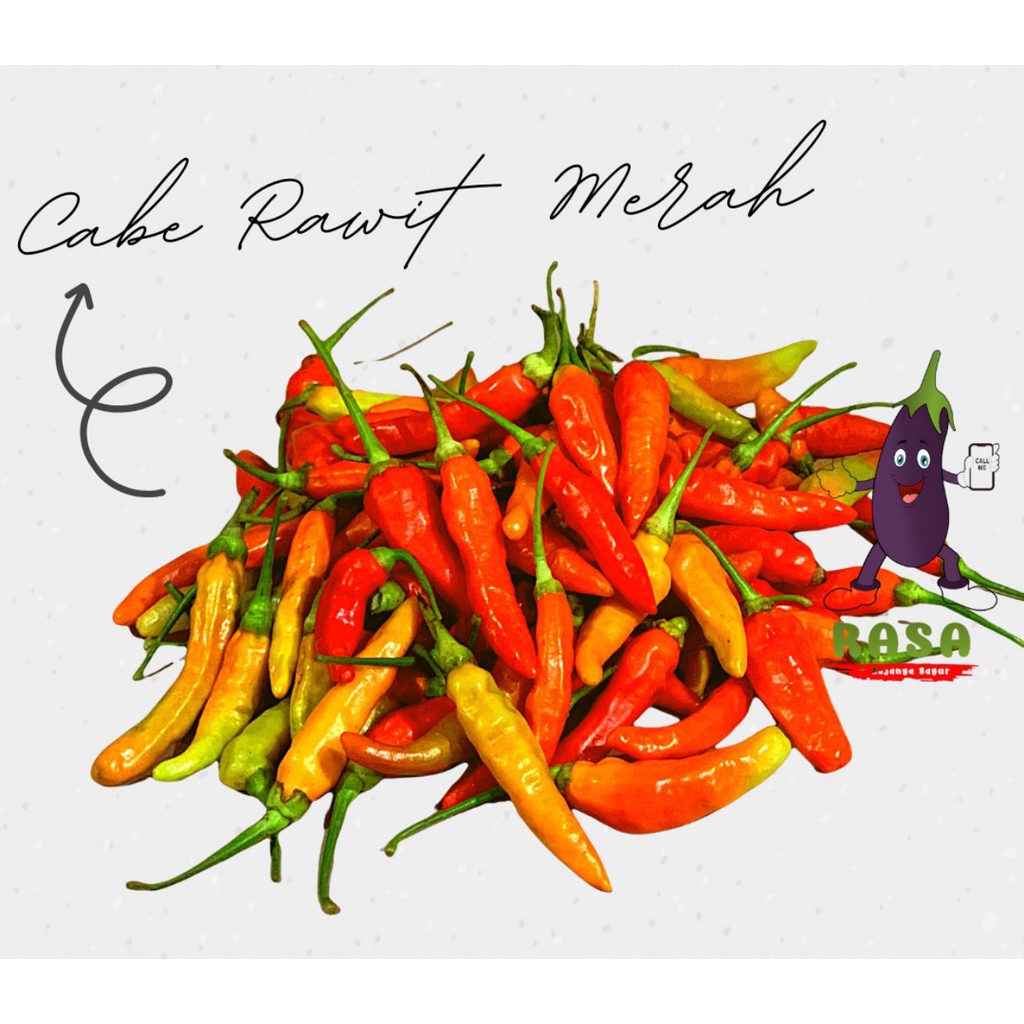 

Cabe Rawit Merah 1/2 - 1Kg