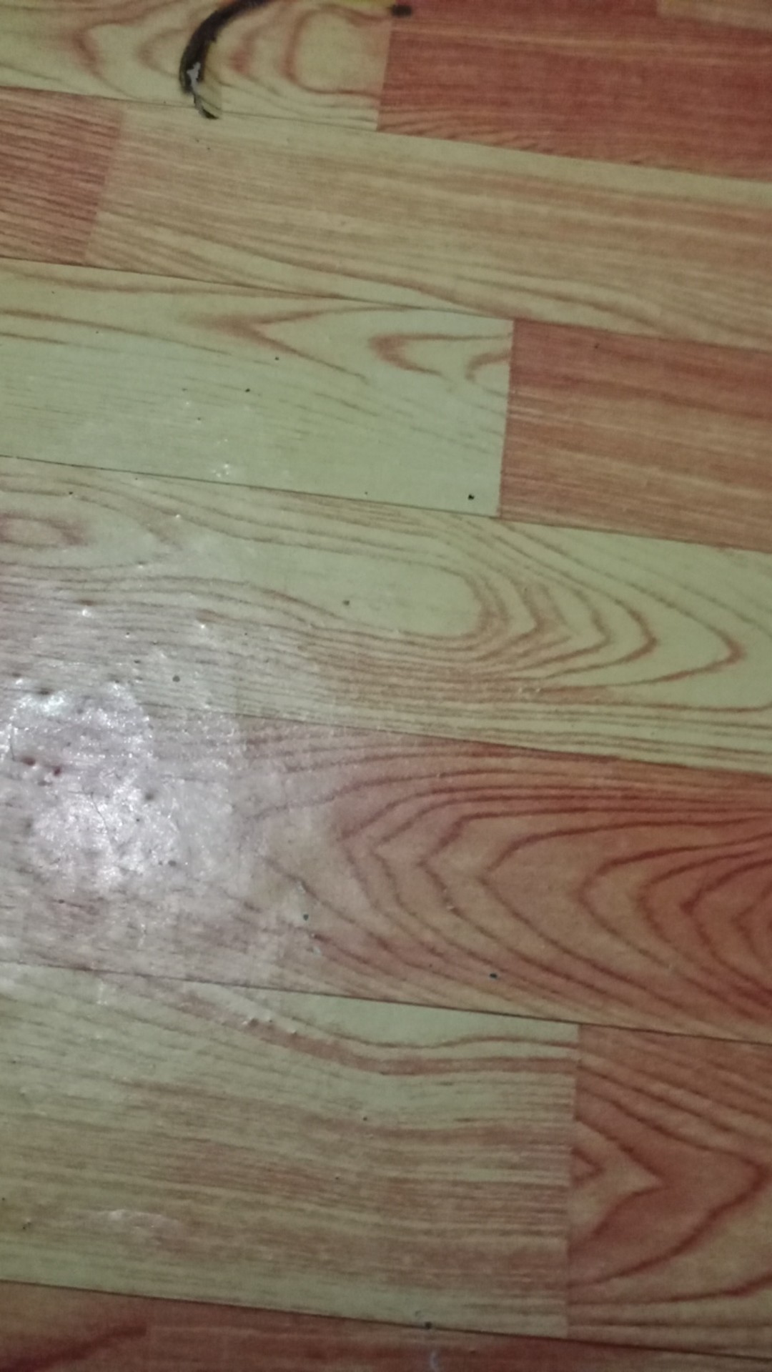 Baju Kemeja Anak Anak Batik Pria Lengan Pendek New! ,promo Bahan Katun Halus Hem Anak Batik Anak