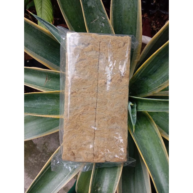 Rockwool Media Tanam Hidroponik, Busa Hidroponik 2x15 cm