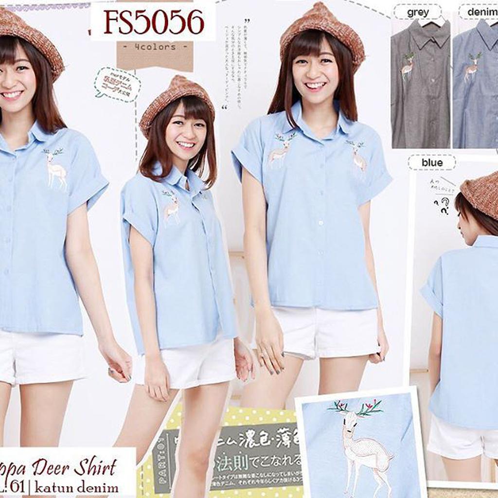 

FS5056
