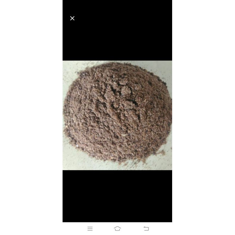 pakan ternak tepung ikan curah