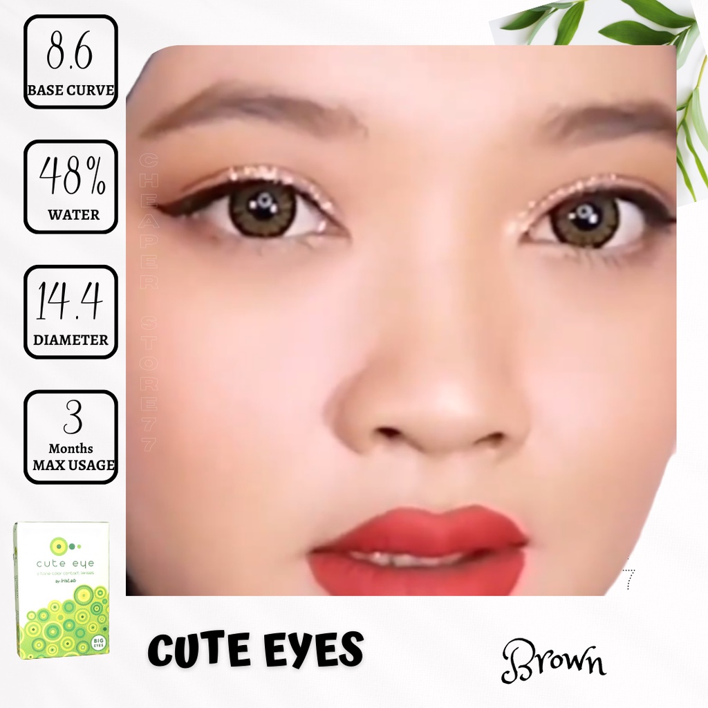 SOFTLENS CUTE EYES ( BIG EYES )