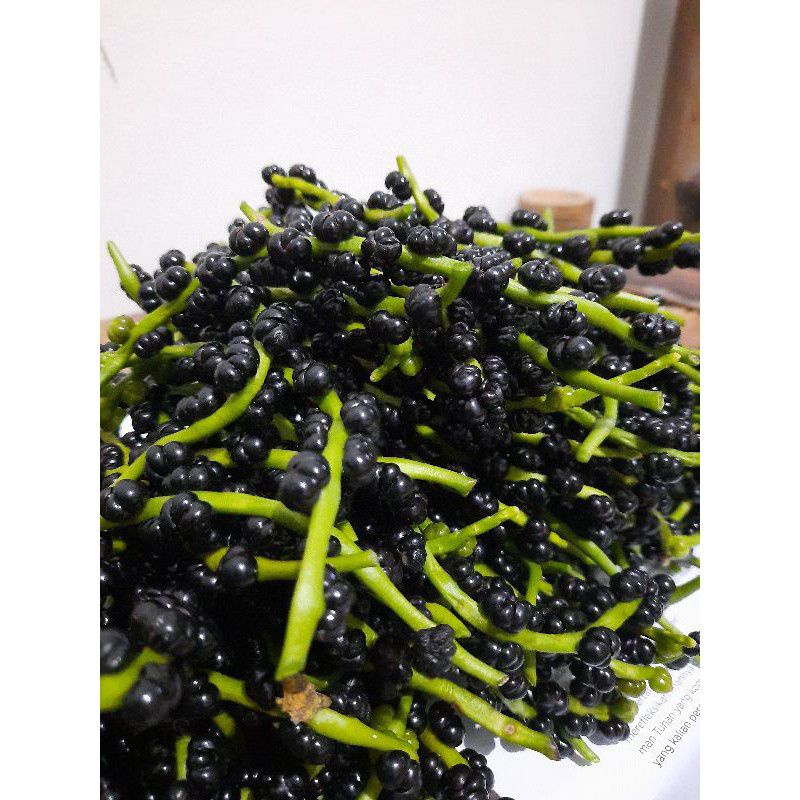 150 biji buah angkung segar/angkung fres obat struk