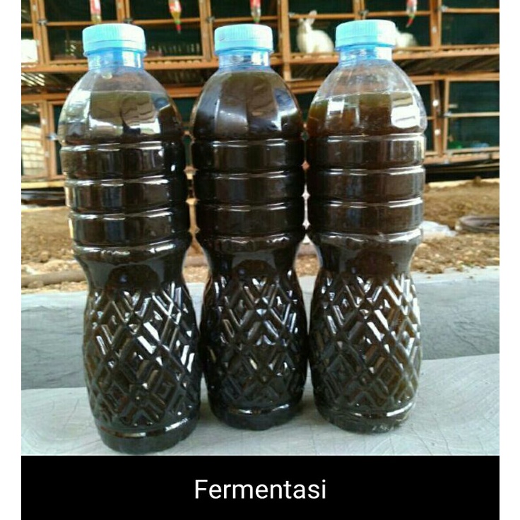 Pupuk Urine Kelinci POC urine kelinci