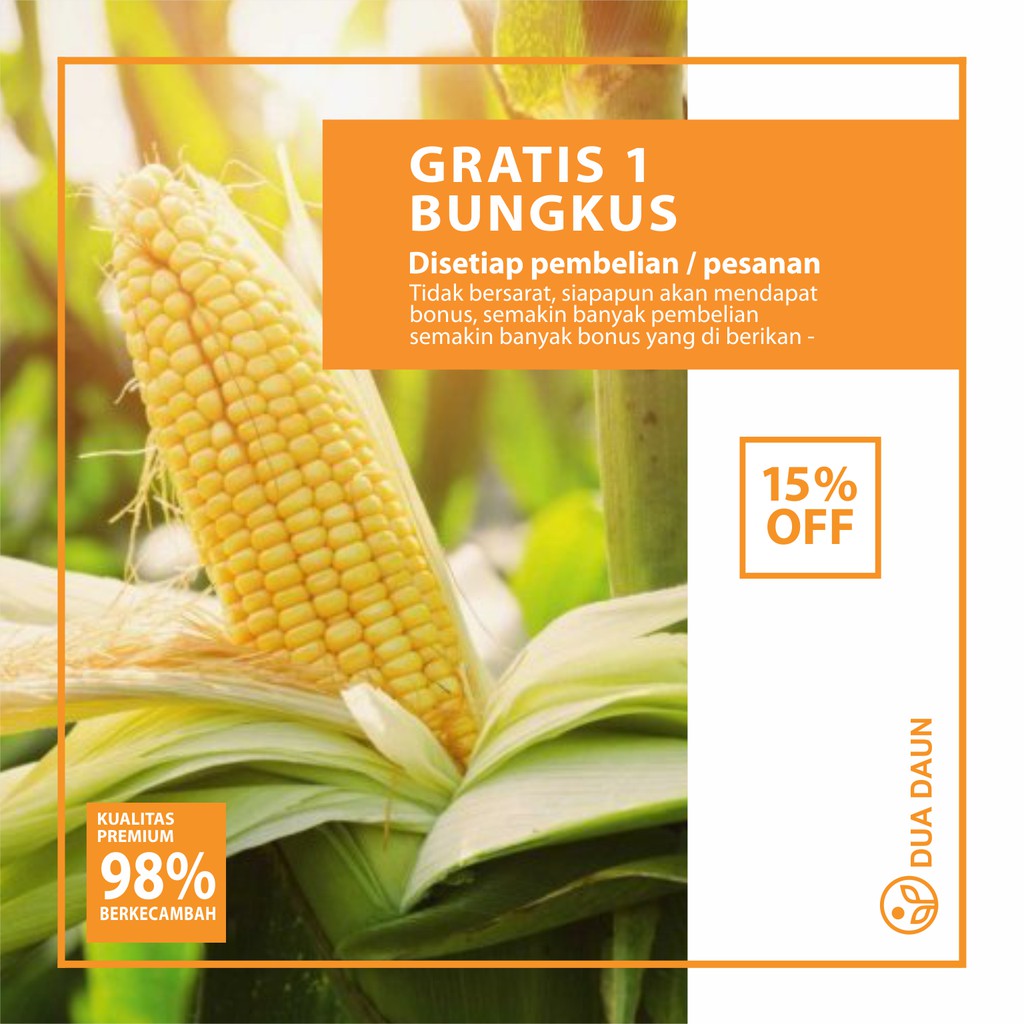 25 Benih Biji Jagung Manis Bimmo