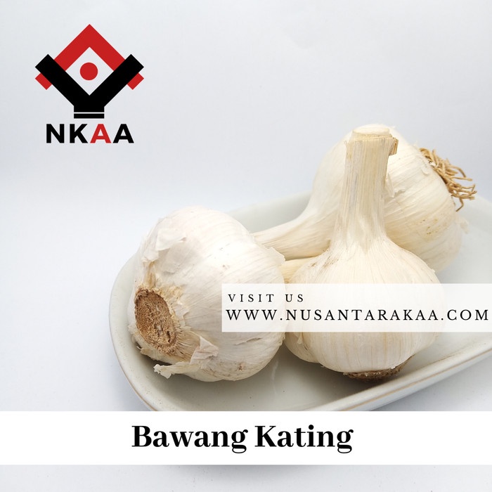 

bawang putih kating