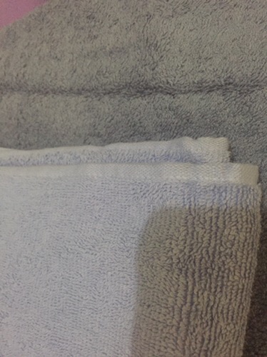 Raishacollection Handuk Terry Palmer Premium Polos (70 X 140)