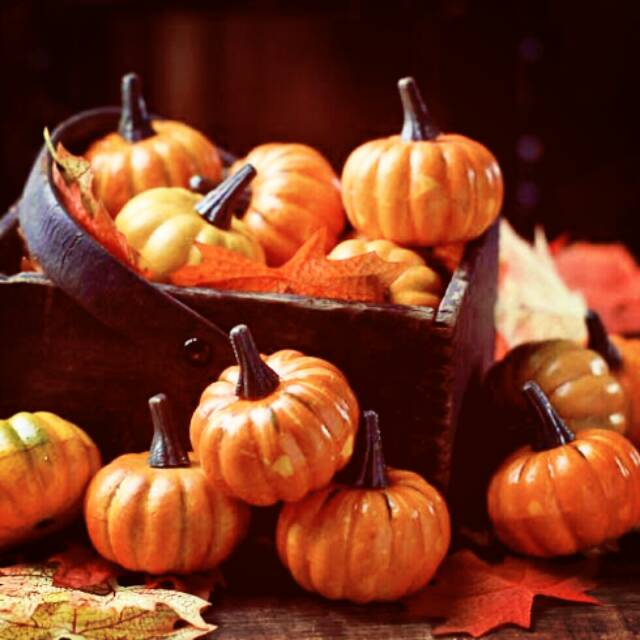 Labu Artificial Dekorasi Halloween