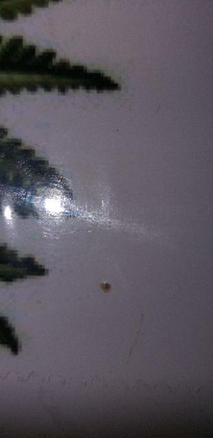 Fasahaya Hiasan Dinding Poster Kayu Leaf Dekorasi Rumah 15x30 Lf 28