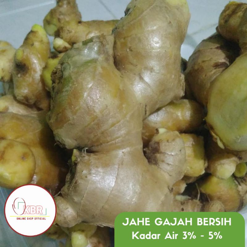 

Jahe gajah cuci / jahe putih cuci / jahe cuci bersih 1kg