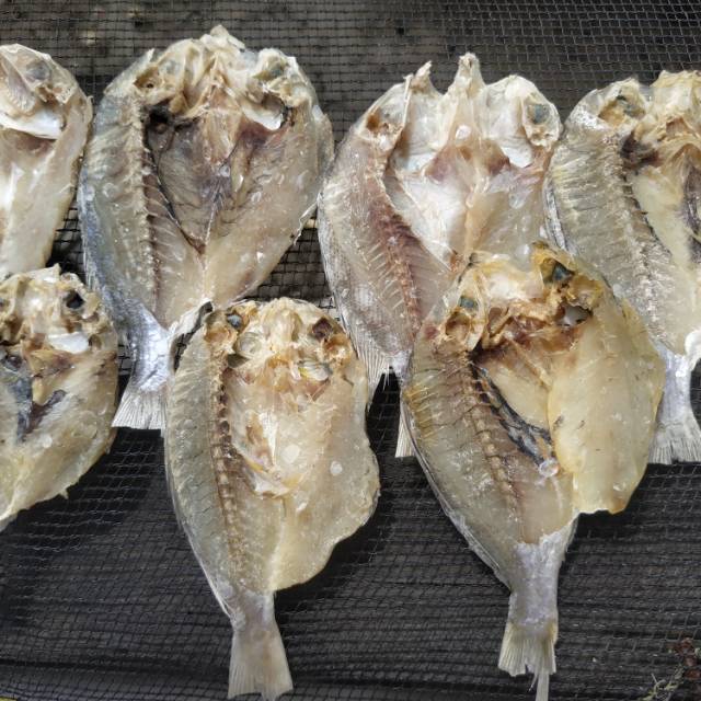

Ikan asin