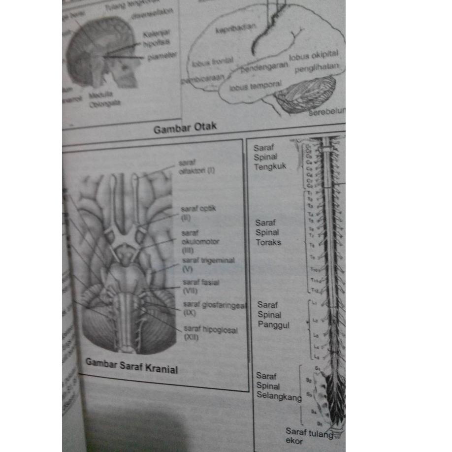 Sangat Nyaman.. BUKU SKS MENGUASAI IPA SISTEM KEBUT SEMALAM/ SKS IPA / BUKU UTBK SAINTEK