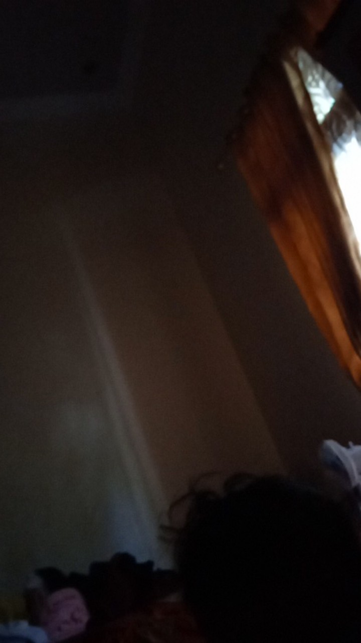 Pisau Kerok Pembersih Alat Serut Sisik Kulit Ikan Bahan Stainlis Tebal