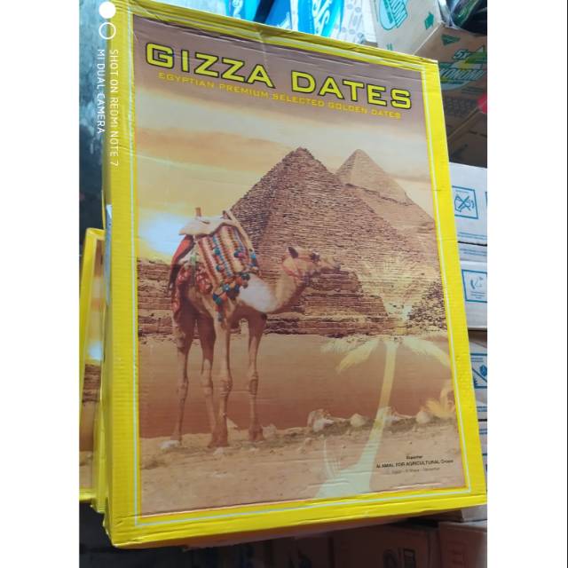 

Kurma Gizza Dates 10 kg