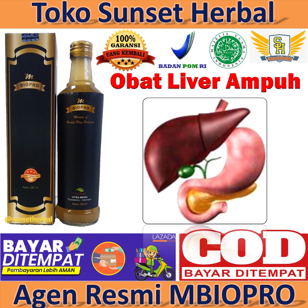 Obat Liver Tradisional Ampuh > Obat Hepatitis A B C > Obat Kuningan > Suplemen Makanan > Obat-Obatan