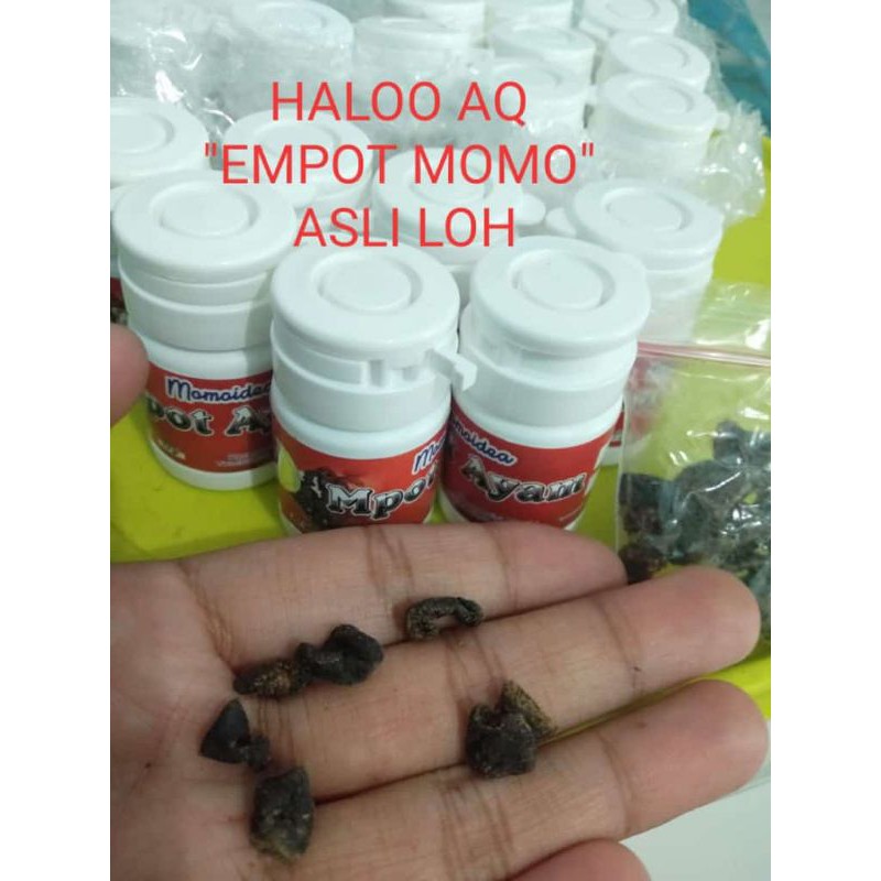 MPOT AYAM MOMO BERDINKES ISI 35 BUTIR / MPOT AYAM MOMOIDEA ORIGINAL / MPOT / MPOT AYAM /