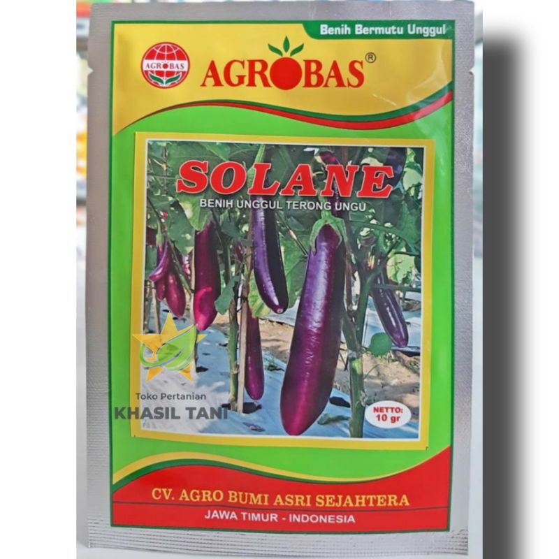 Bibit Benih Terong Ungu SOLANE 10gr - AGROBAS