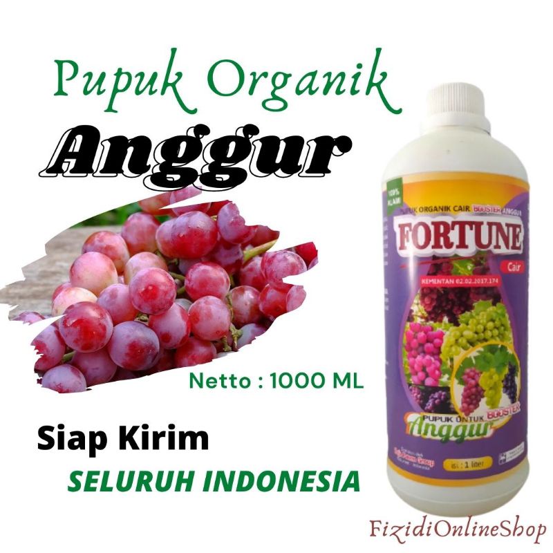 Pupuk Organik Untuk Anggur Brazil Cepat Berbuah, Booster Buah Anggur Hitam Sudah Pruning