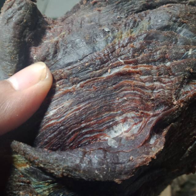 Dendeng Daging Ikan Asli Kwalitas Super Premium 1000 Gram